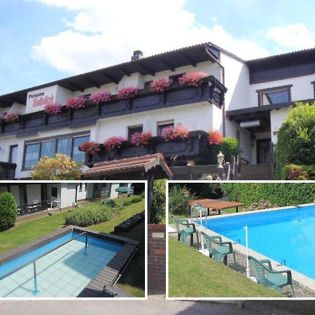 Pension Talblick Höchst im Odenwald Εξωτερικό φωτογραφία